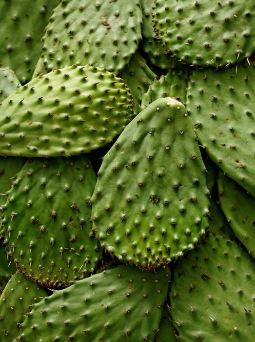 Rutina de bienestar: hábitos diarios