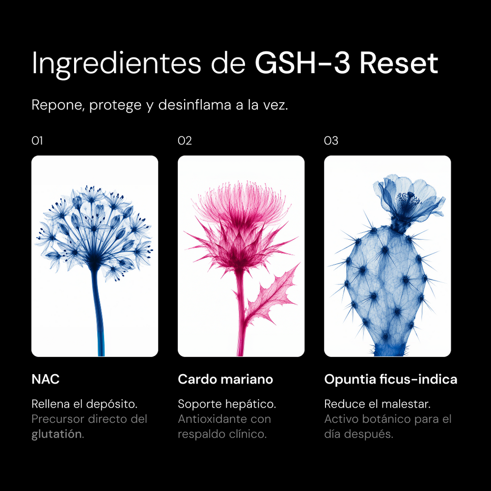 Ingredientes del sistema GSH-3 Reset de agüita: NAC, cardo mariano y Opuntia ficus-indica